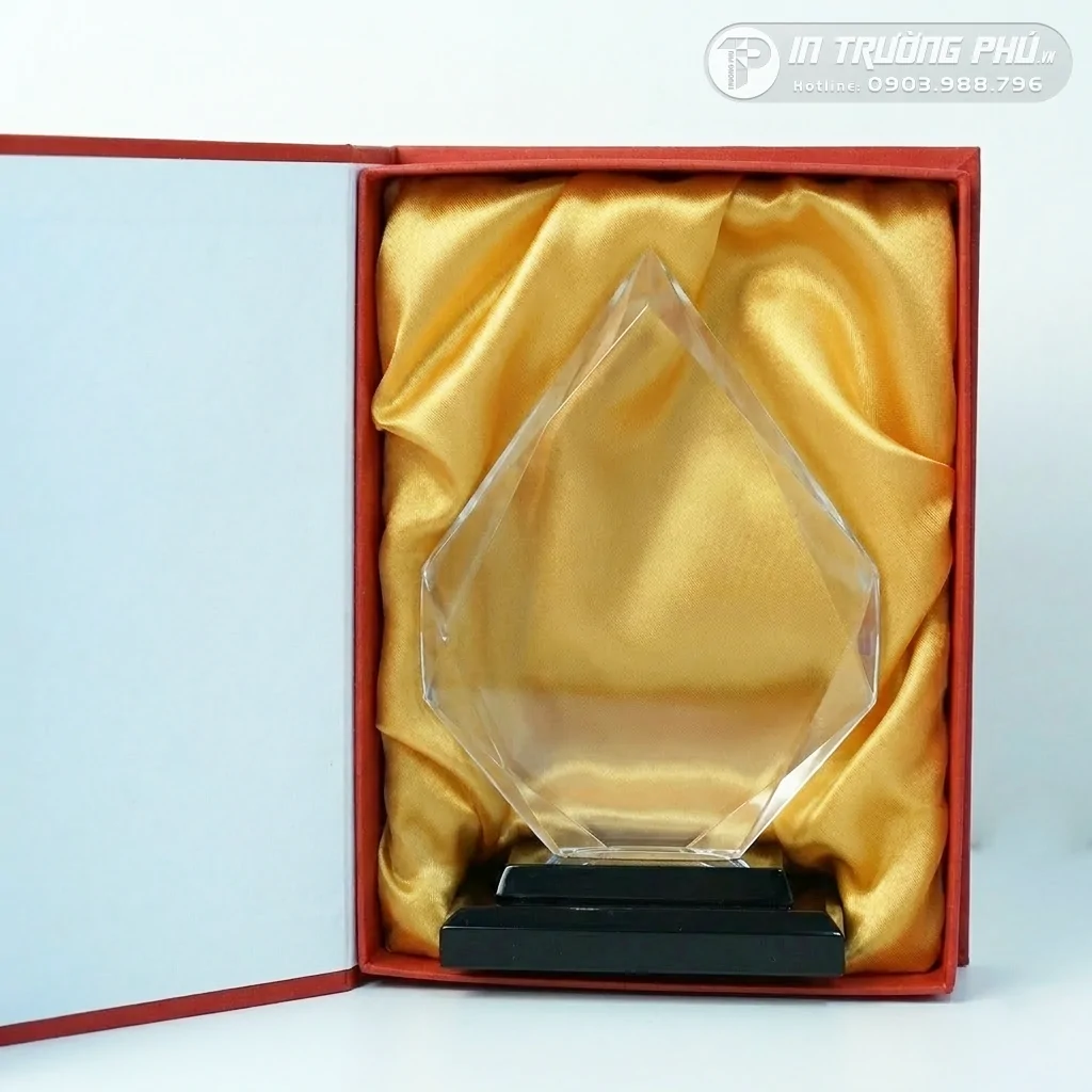 Kỷ Niệm Chương - IN TRƯỜNG PH&Uacute;