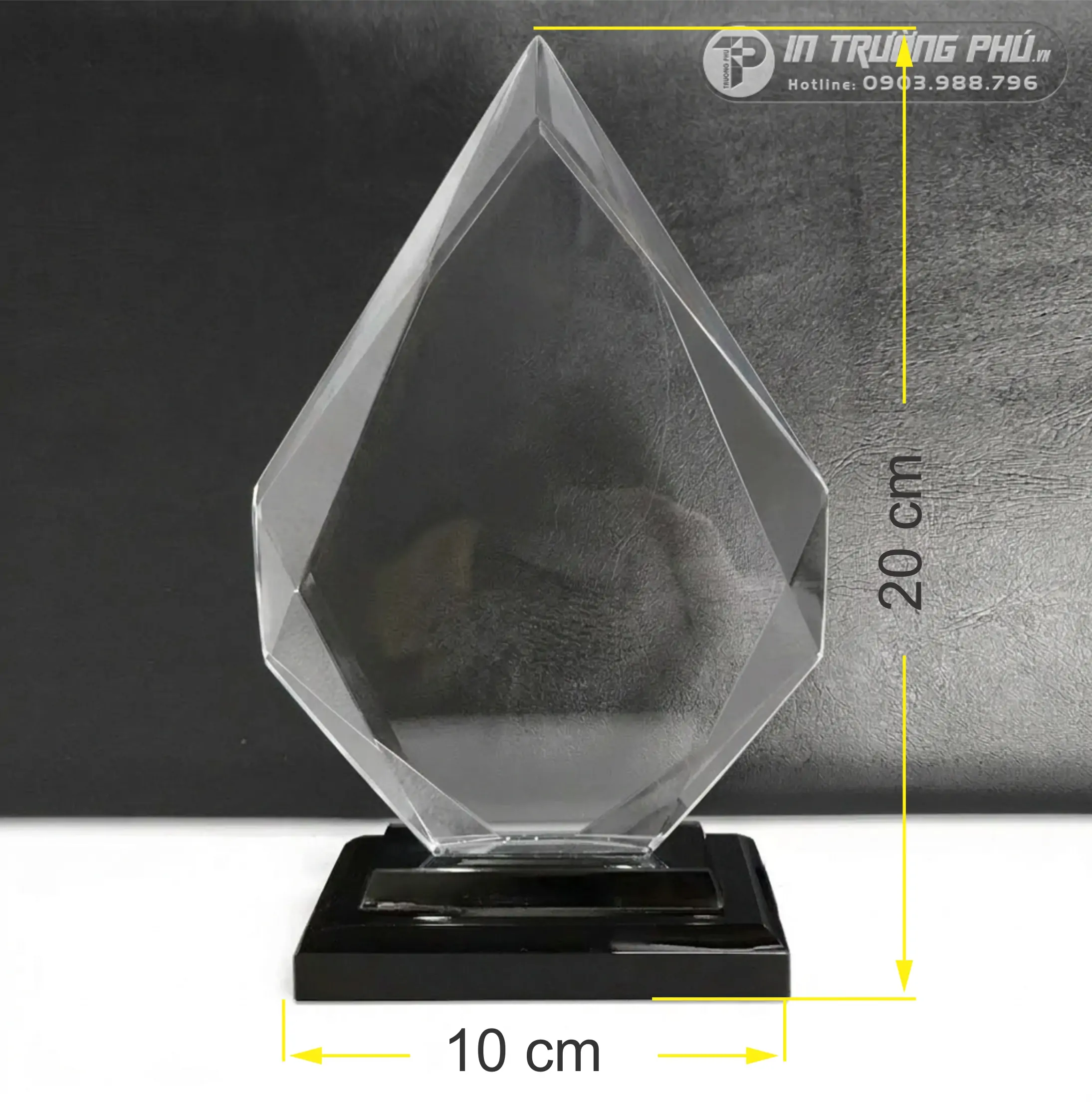 Kỷ Niệm Chương - IN TRƯỜNG PH&Uacute;