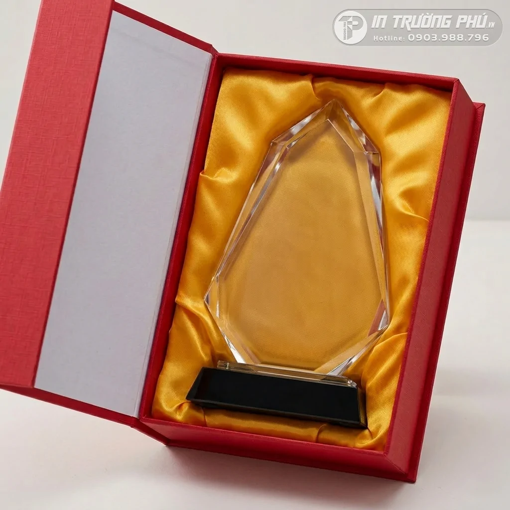 Kỷ Niệm Chương - IN TRƯỜNG PH&Uacute;