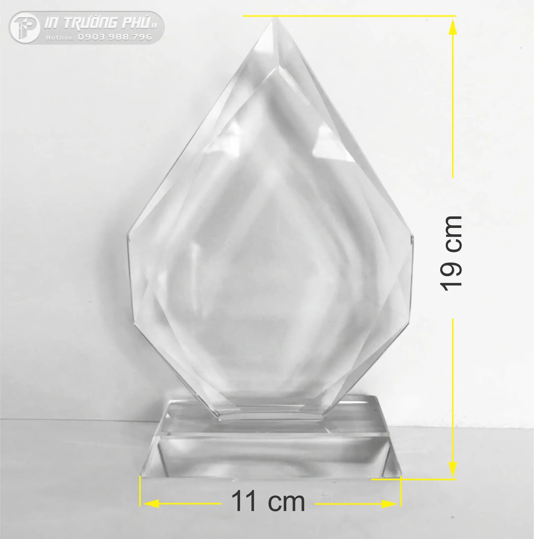 Kỷ Niệm Chương - IN TRƯỜNG PH&Uacute;