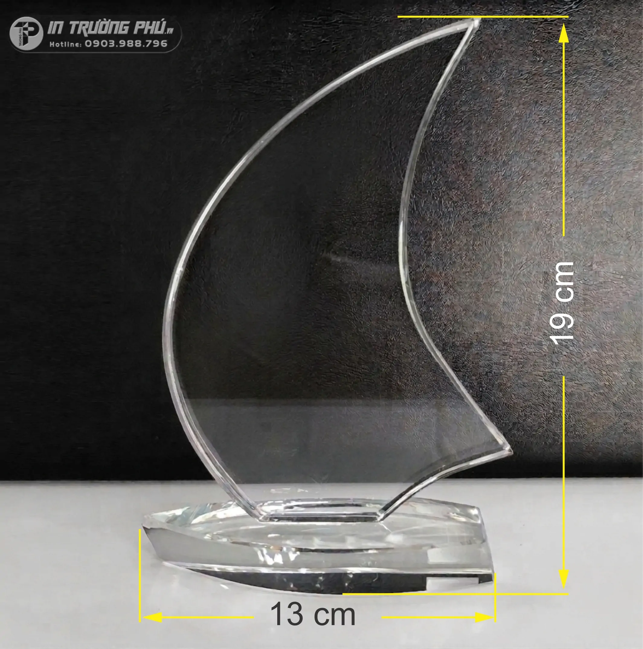 Kỷ Niệm Chương - IN TRƯỜNG PH&Uacute;