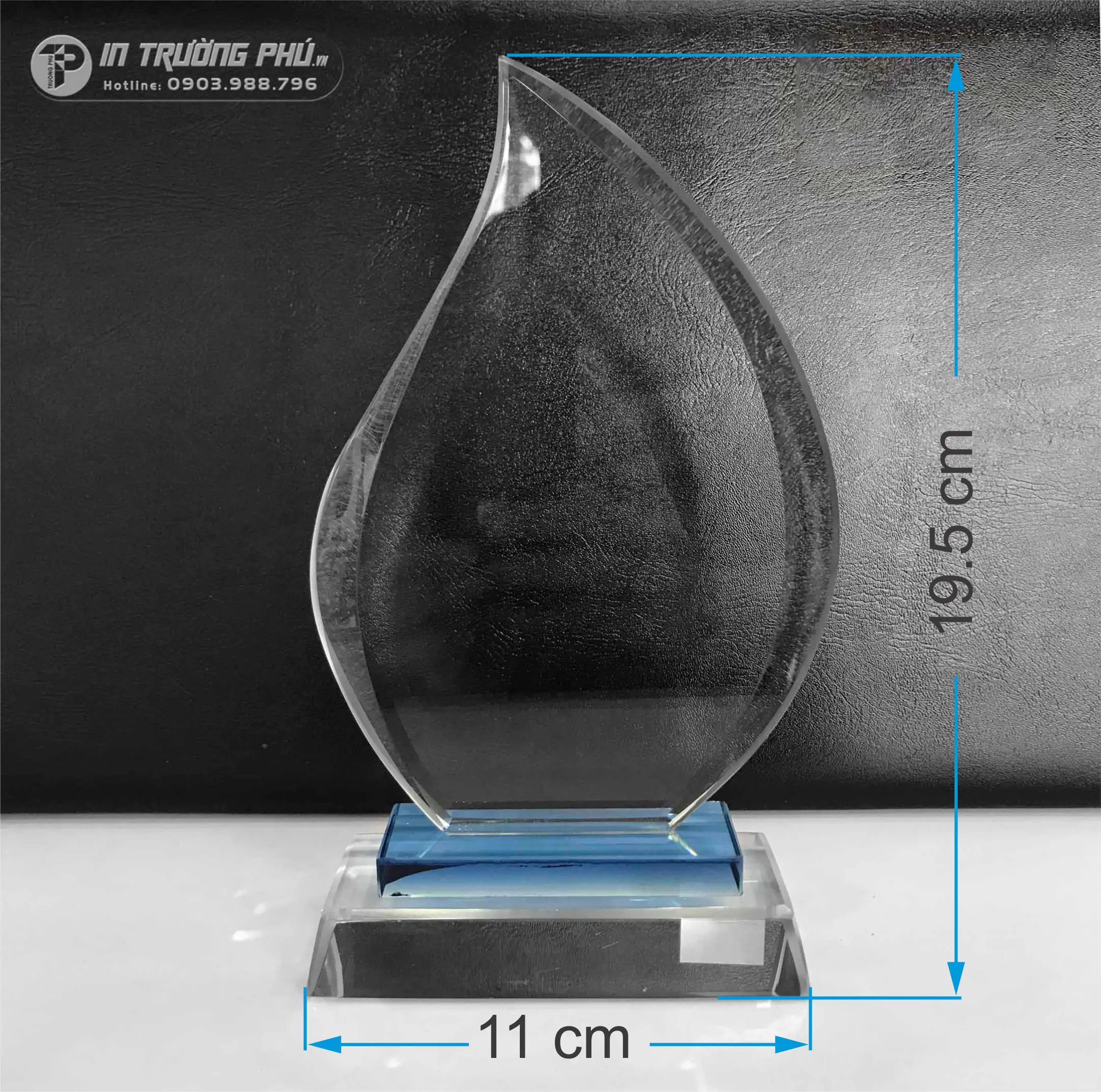 Kỷ Niệm Chương - IN TRƯỜNG PH&Uacute;