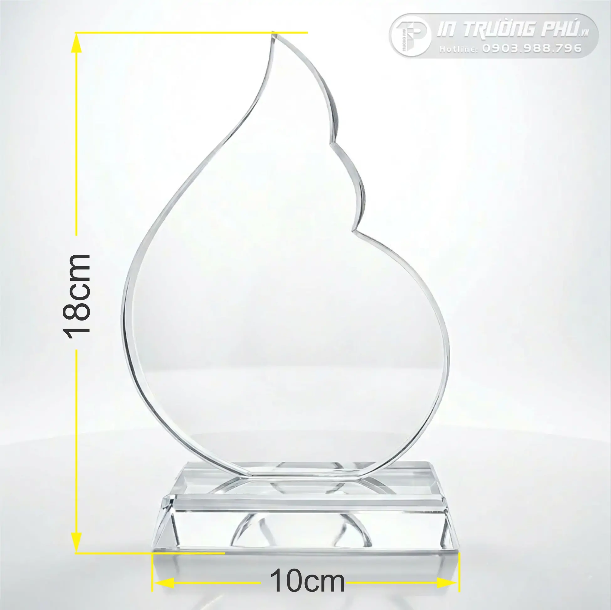 Kỷ Niệm Chương - IN TRƯỜNG PH&Uacute;