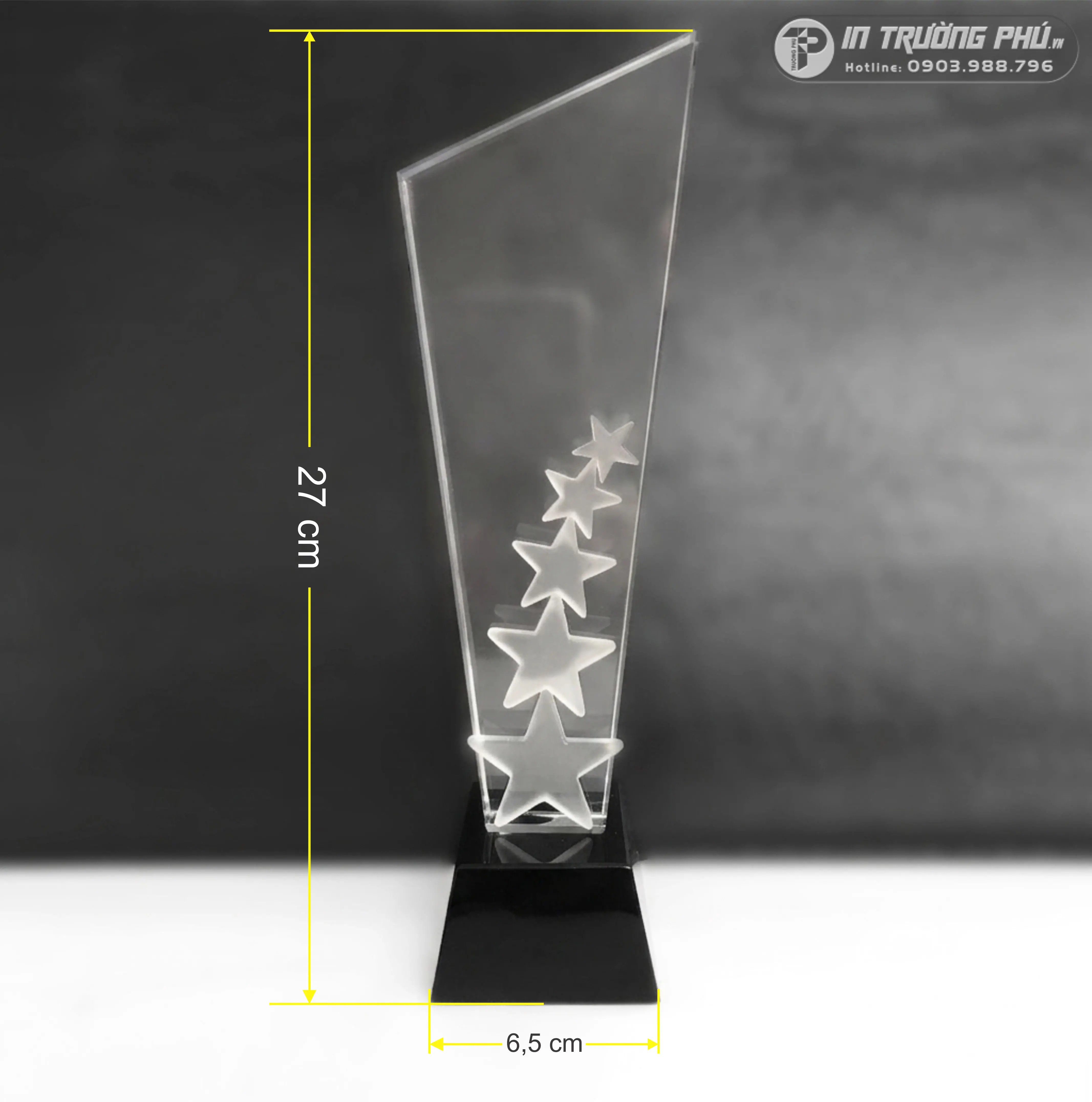 Kỷ Niệm Chương - IN TRƯỜNG PH&Uacute;