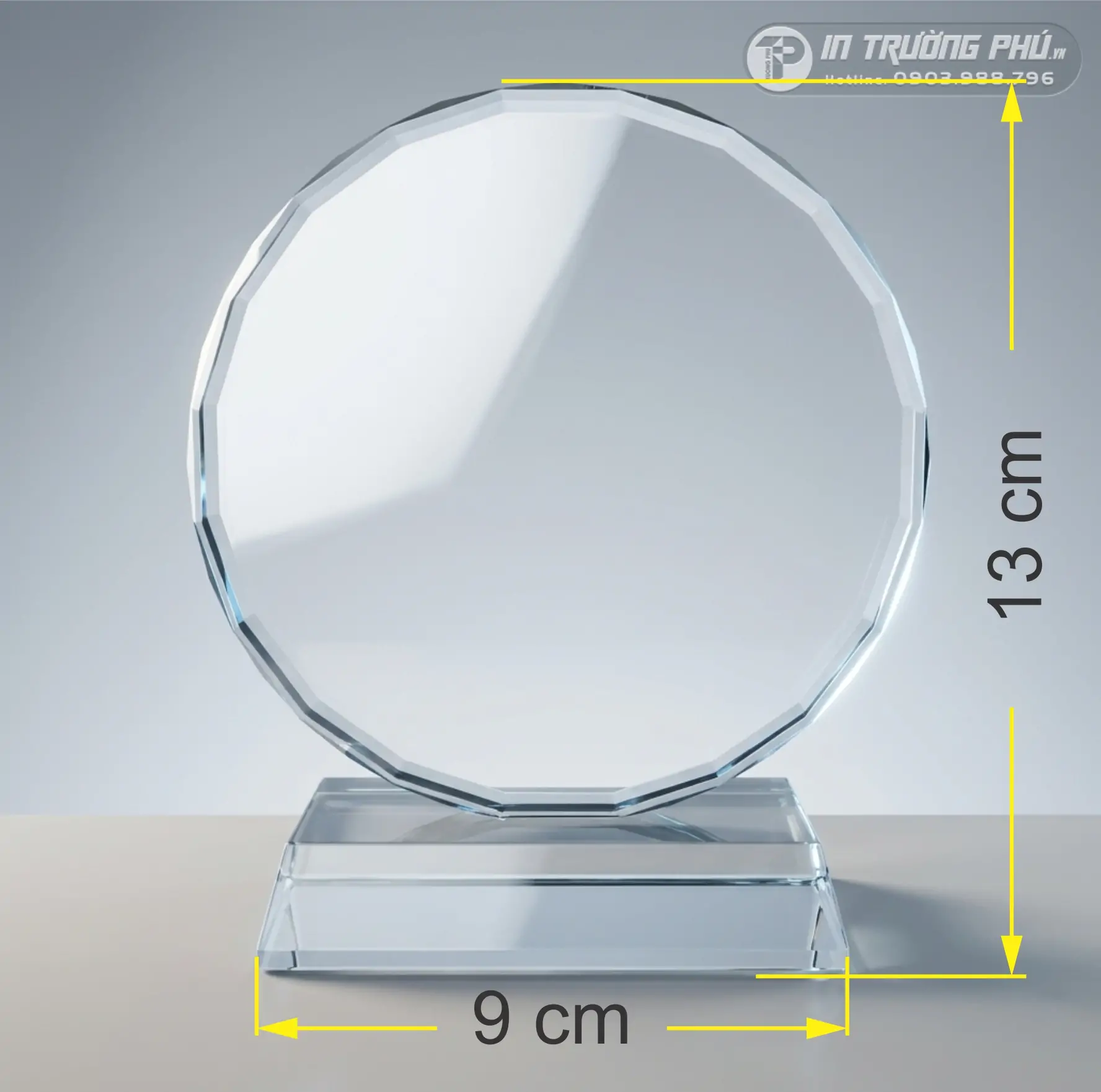 Kỷ Niệm Chương - IN TRƯỜNG PH&Uacute;