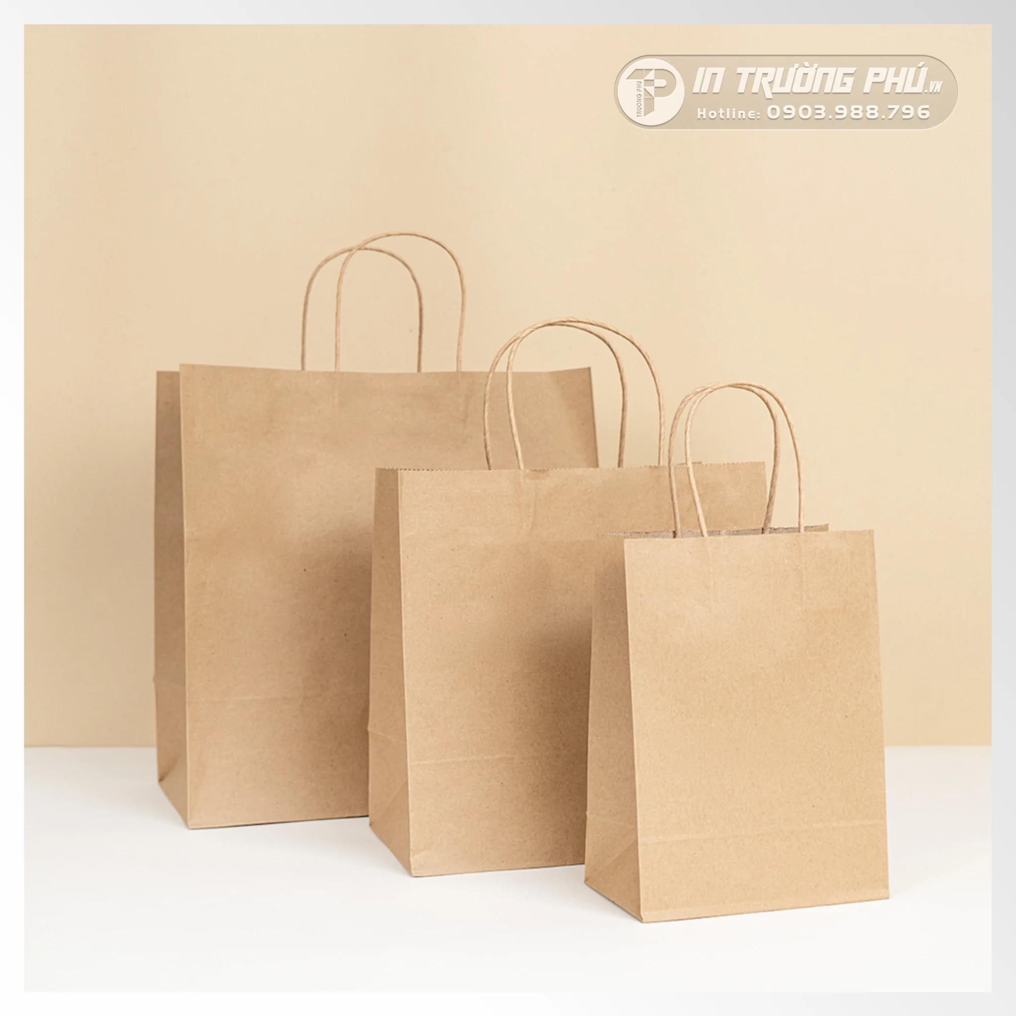 Túi Giấy Có Sẵn 